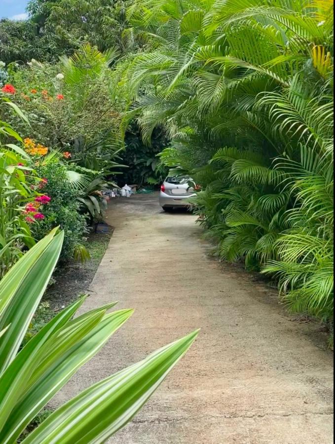 Le Filao Villa ปวงต์-นัวร์ ภายนอก รูปภาพ